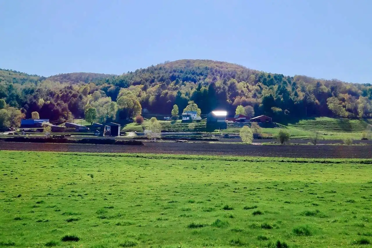 Kırklareli'nin doğal ürünleri